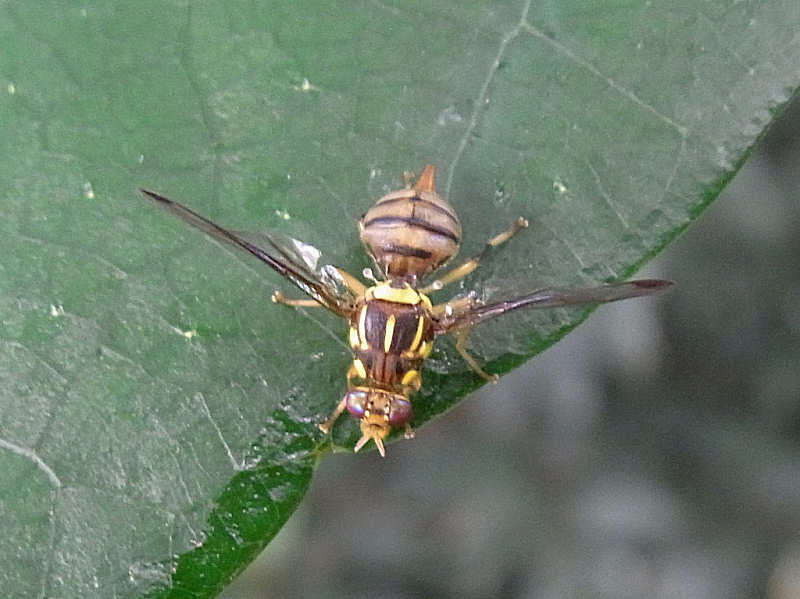 f0204094_22412923.jpg