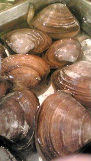 f0084695_1050074.jpg