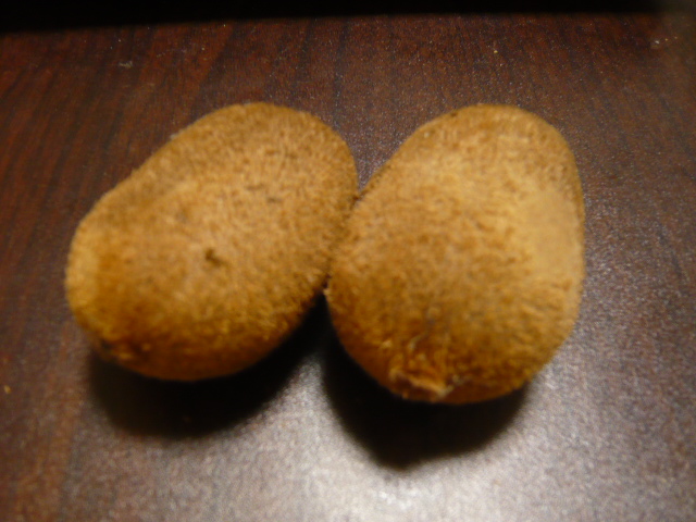 a0149502_2163629.jpg