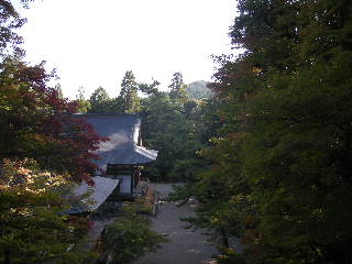 a0101503_2153341.jpg