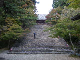 a0101503_2174791.jpg