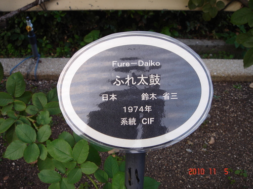 d0154508_90020.jpg