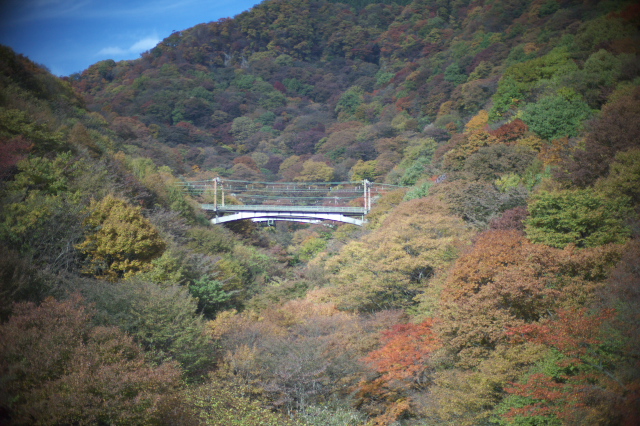 d0143011_15105596.jpg