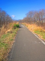 f0100911_22595744.jpg