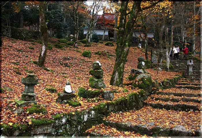 c0100214_14222745.jpg