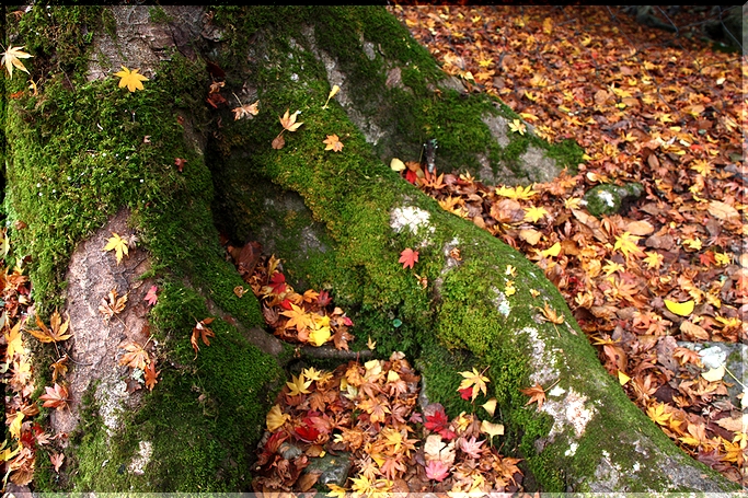 c0100214_14261826.jpg