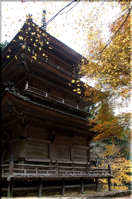 c0100214_14265569.jpg