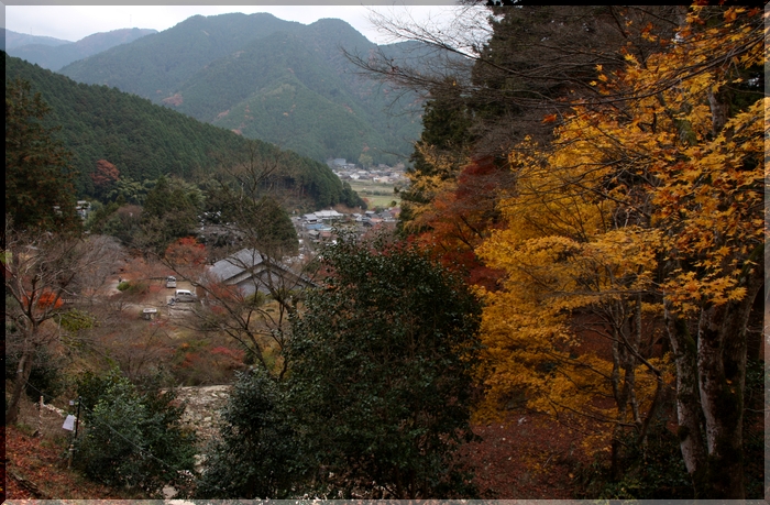 c0100214_1428462.jpg
