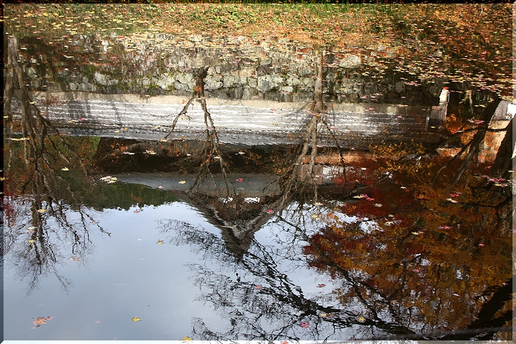 c0100214_1522376.jpg