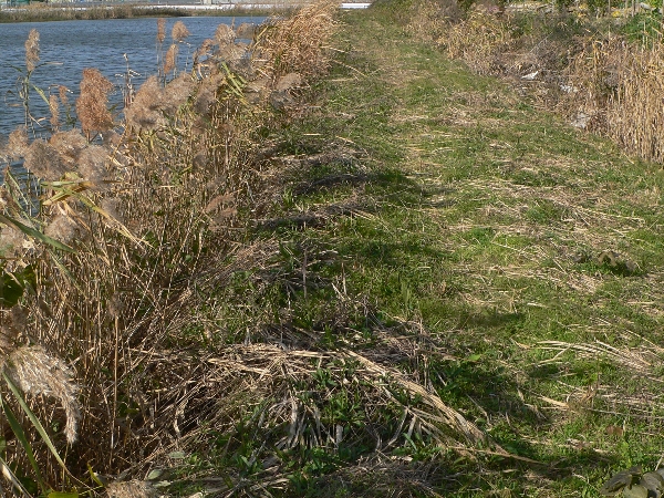 e0002314_19395591.jpg