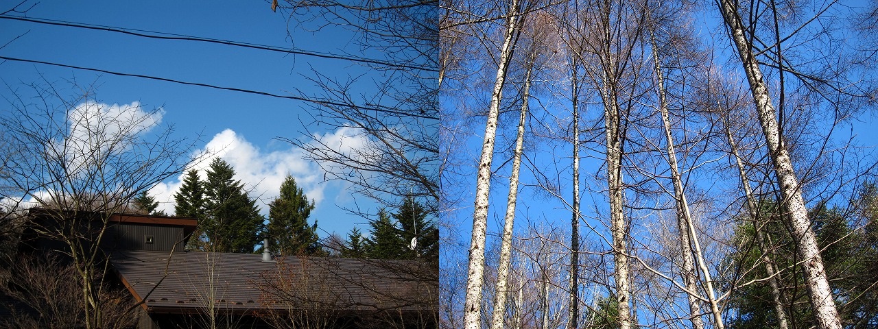 e0192217_858942.jpg