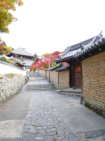 b0019820_2316282.jpg