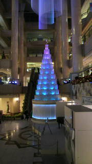 f0106823_1005521.jpg