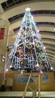 f0106823_100556.jpg
