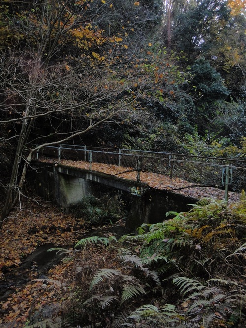 c0189724_16265022.jpg