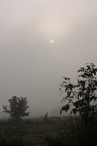 d0042827_20105737.jpg