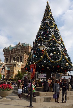 a0024829_17453114.jpg