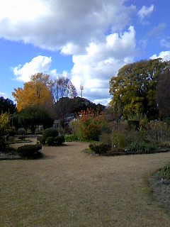 c0090534_1538532.jpg