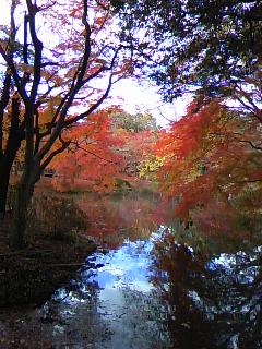 c0090534_1538546.jpg