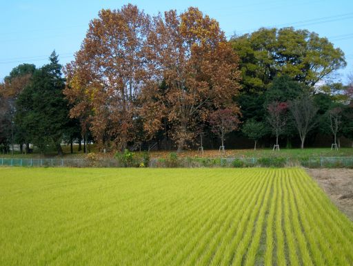 b0178339_22502611.jpg