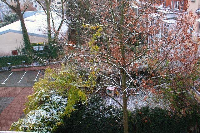 c0153740_4185337.jpg