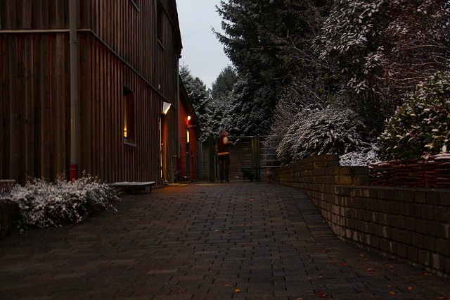 c0153740_513620.jpg