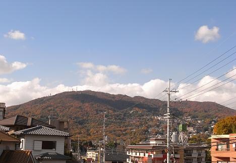 a0116442_118672.jpg
