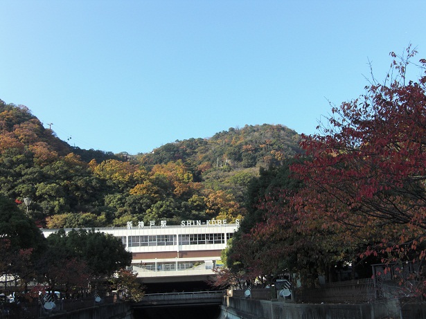 b0189343_1139298.jpg