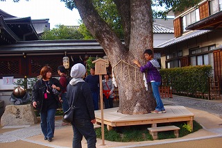 b0200747_16303533.jpg