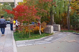 b0200747_16313999.jpg
