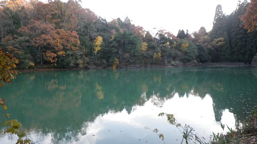 c0042847_11414196.jpg