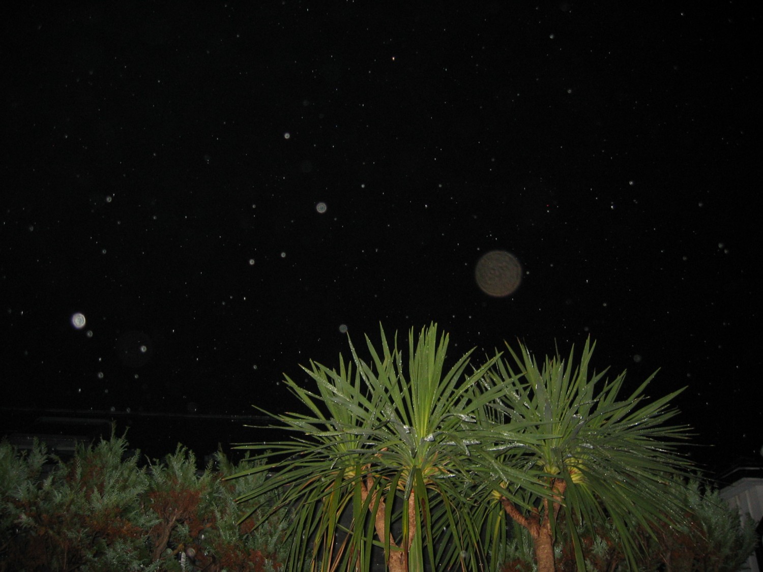 d0075649_9242374.jpg