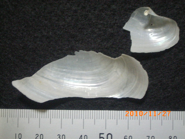 a0157451_2117586.jpg