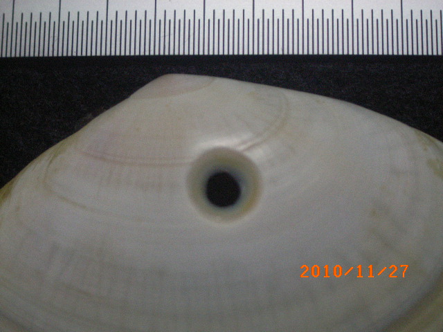 a0157451_21182398.jpg