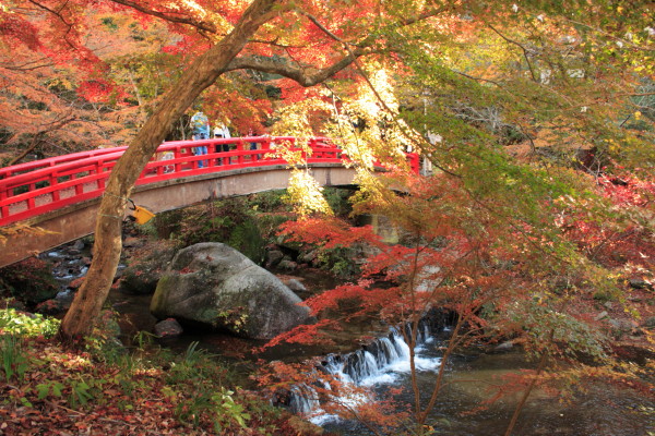 b0092958_02237100.jpg