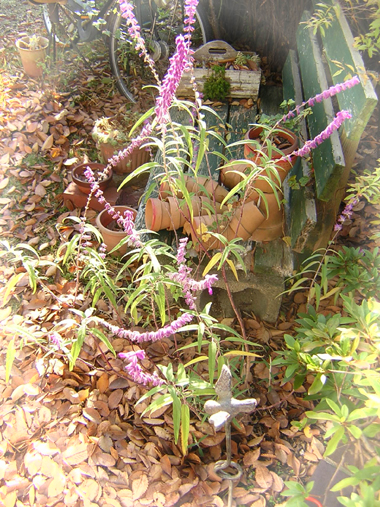 b0180968_10392333.jpg