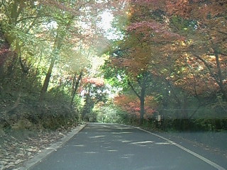 f0142668_594861.jpg