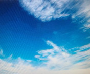 f0207969_3464055.jpg