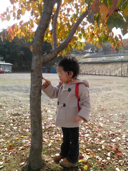 c0122670_23161114.jpg