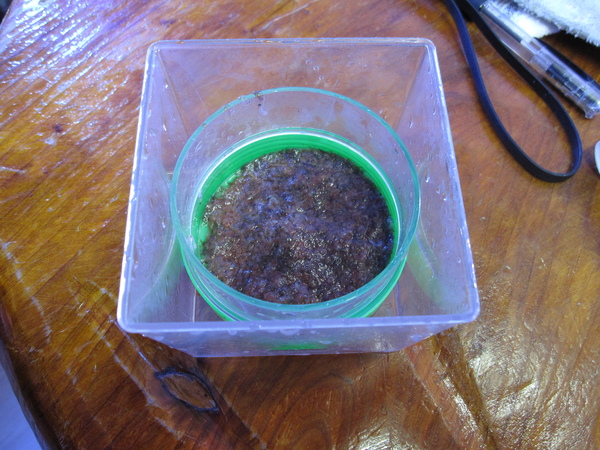 a0161975_160457.jpg
