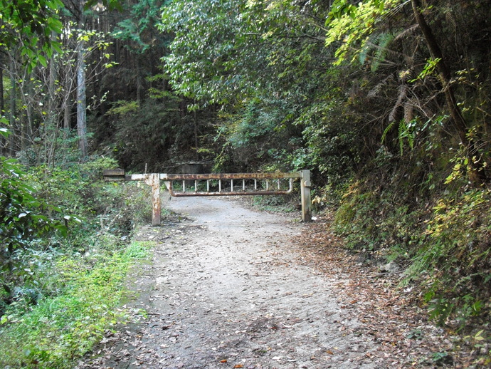 c0019376_20485253.jpg