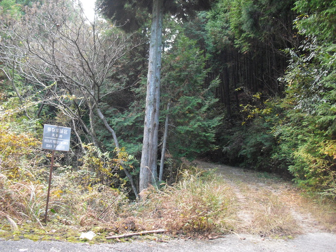 c0019376_2050037.jpg