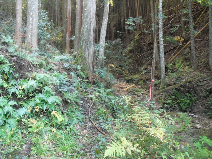 c0019376_205951.jpg
