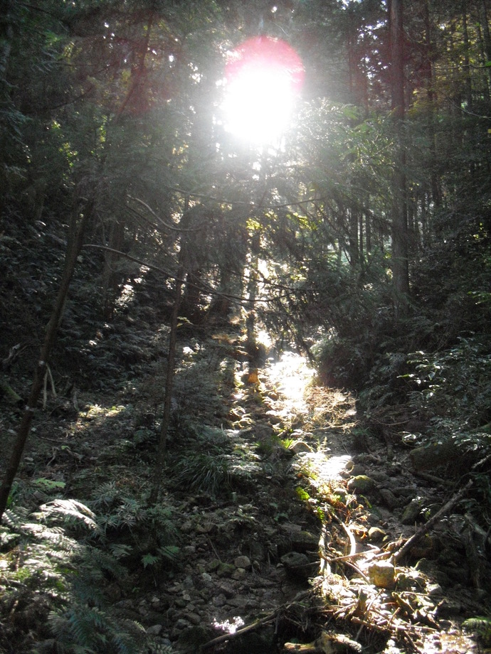 c0019376_2111845.jpg