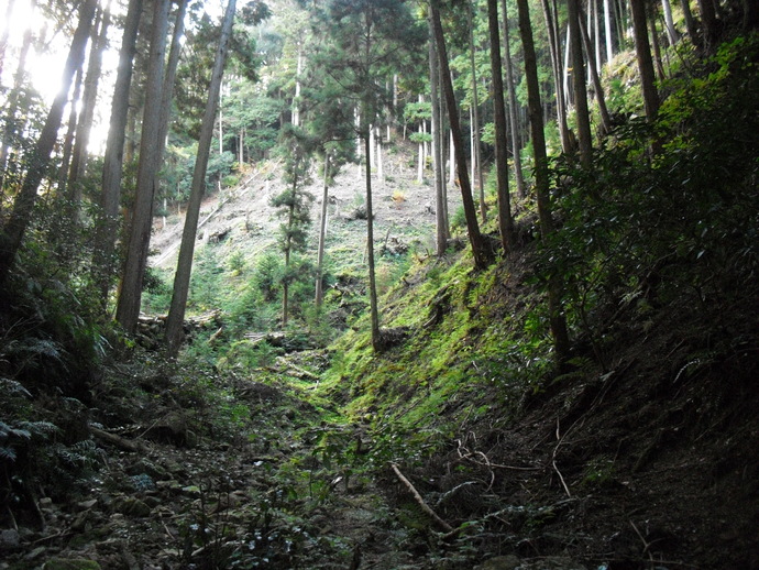 c0019376_213426.jpg