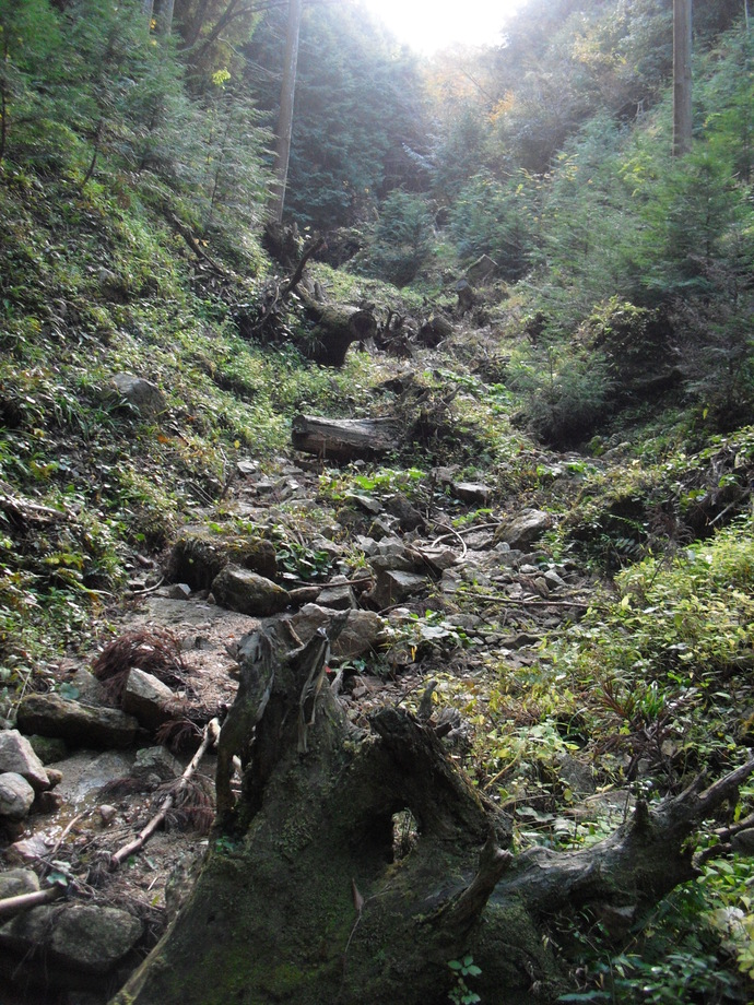c0019376_214564.jpg