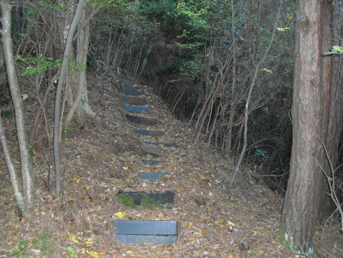 c0019376_2195821.jpg
