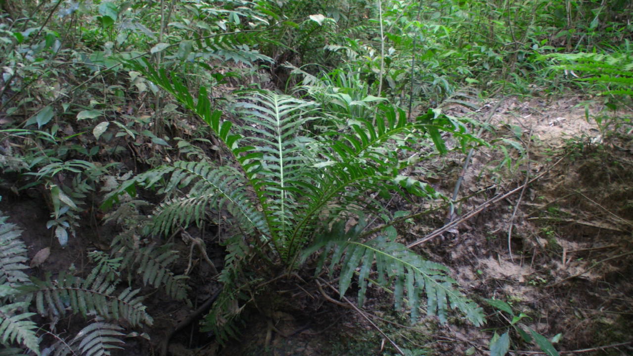 a0067578_18292624.jpg