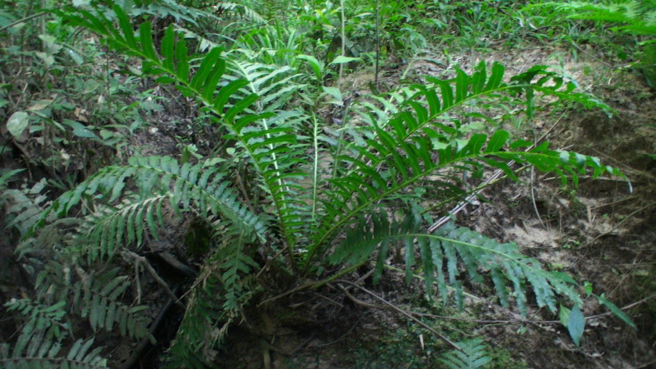 a0067578_18295649.jpg