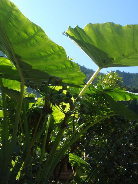 b0053478_2122872.jpg